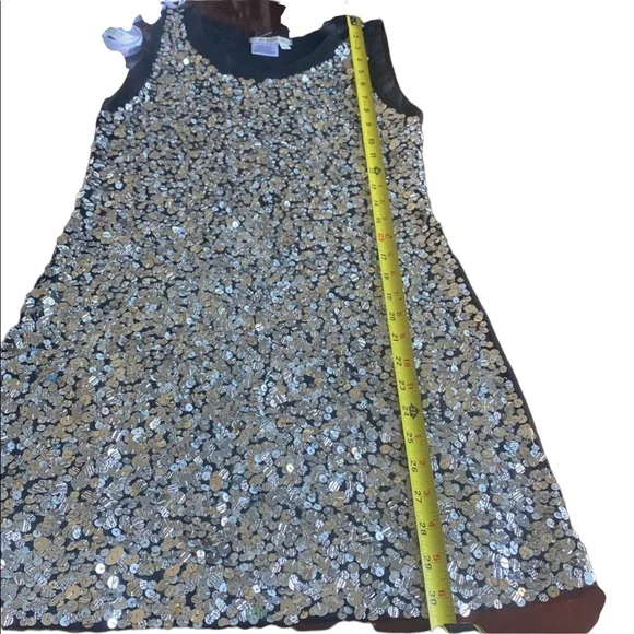 Boston Proper Sequined Sleeveless Dress - Picture 10 of 10